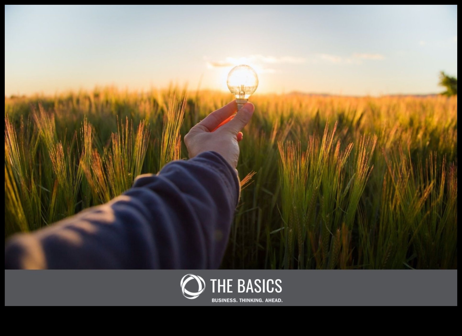 العجائب البيئية: تحويل الأفكار إلى حقائق مستدامة