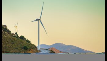 العجائب البيئية: تحويل الأفكار إلى حقائق مستدامة