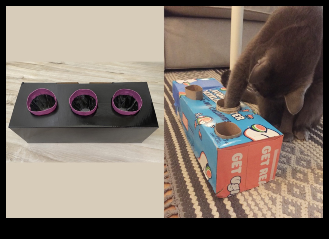 إثراء القطط بنفسك: أنشطة محفزة لقطط سعيدة