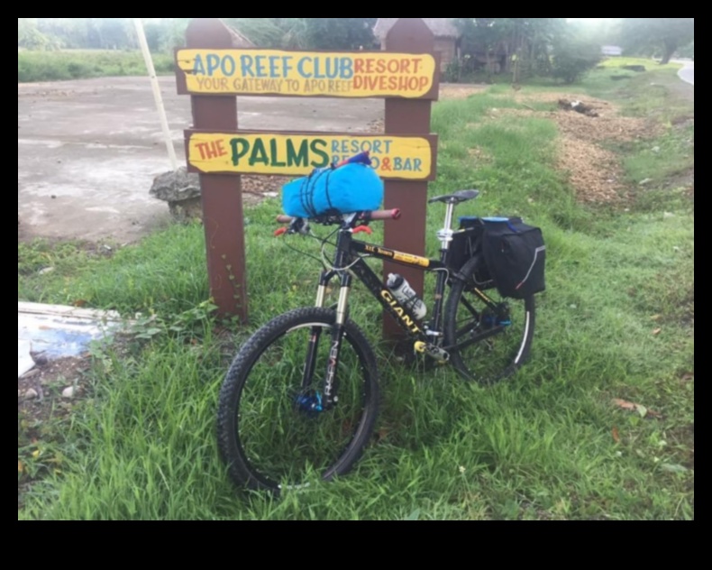 سجلات ركاب الدراجة: قصص من جولات المدينة اليومية