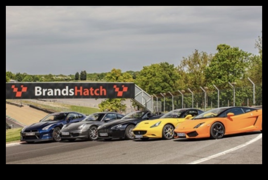 المسار يوم النعيم: السيارات الرياضية والقيادة عالية الأداء