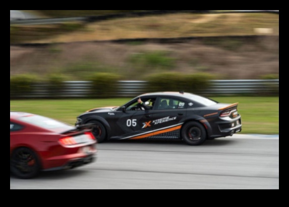 المسار يوم النعيم: السيارات الرياضية والقيادة عالية الأداء