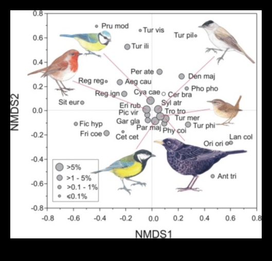 تابع الطيور والزراعة: دور الطيور في مكافحة الآفات