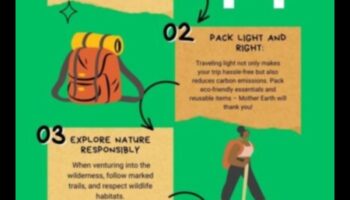 استكشافات خالية من الانبعاثات: الانغماس في الطبيعة باستخدام المركبات الكهربائية