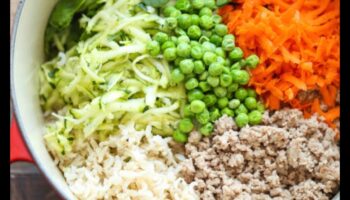 مهمة مطبخ الكلاب: استكشاف وصفات الكلاب محلية الصنع