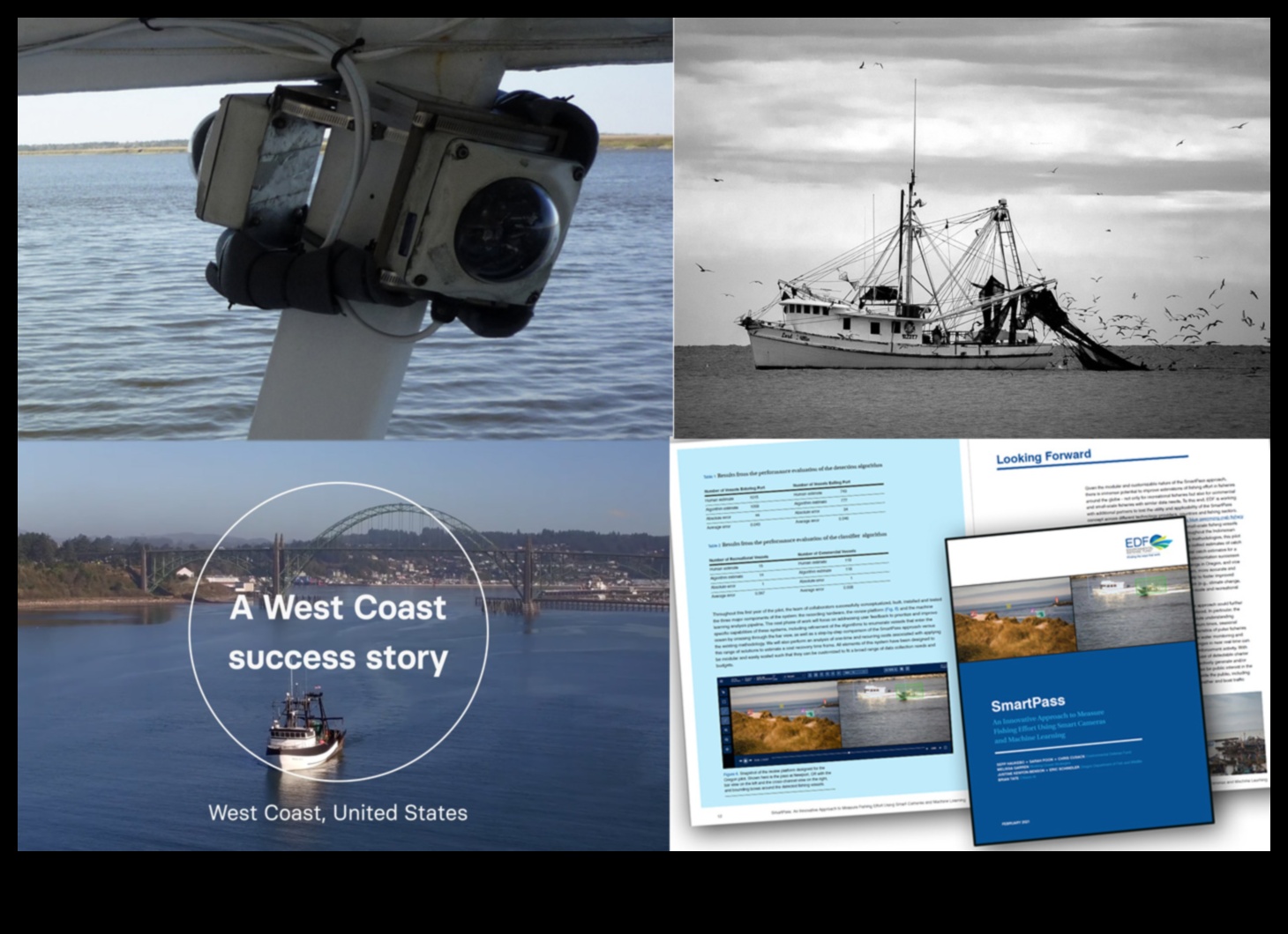 سجلات تربية الأسماك: إحداث ثورة في صناعة المأكولات البحرية