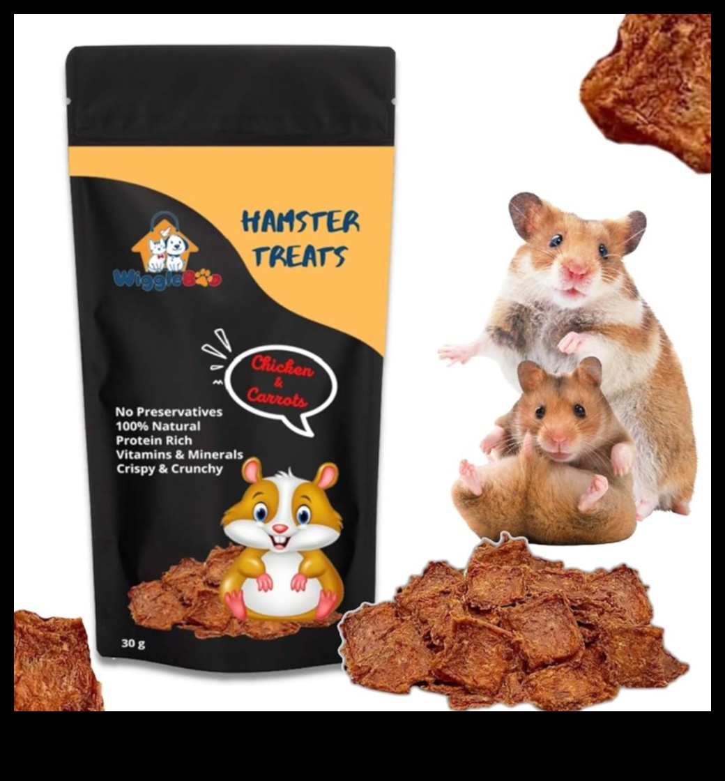 دليل الذواقة للهامستر: يعامل الغذائية والوجبات الخفيفة