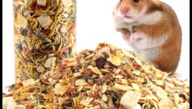 دليل الذواقة للهامستر: يعامل الغذائية والوجبات الخفيفة