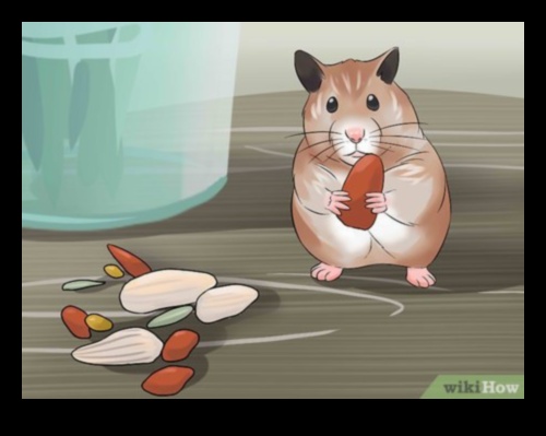 استمرار وقت لعب الهامستر: ألعاب DIY للتحفيز العقلي