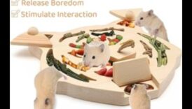 استمرار وقت لعب الهامستر: ألعاب DIY للتحفيز العقلي