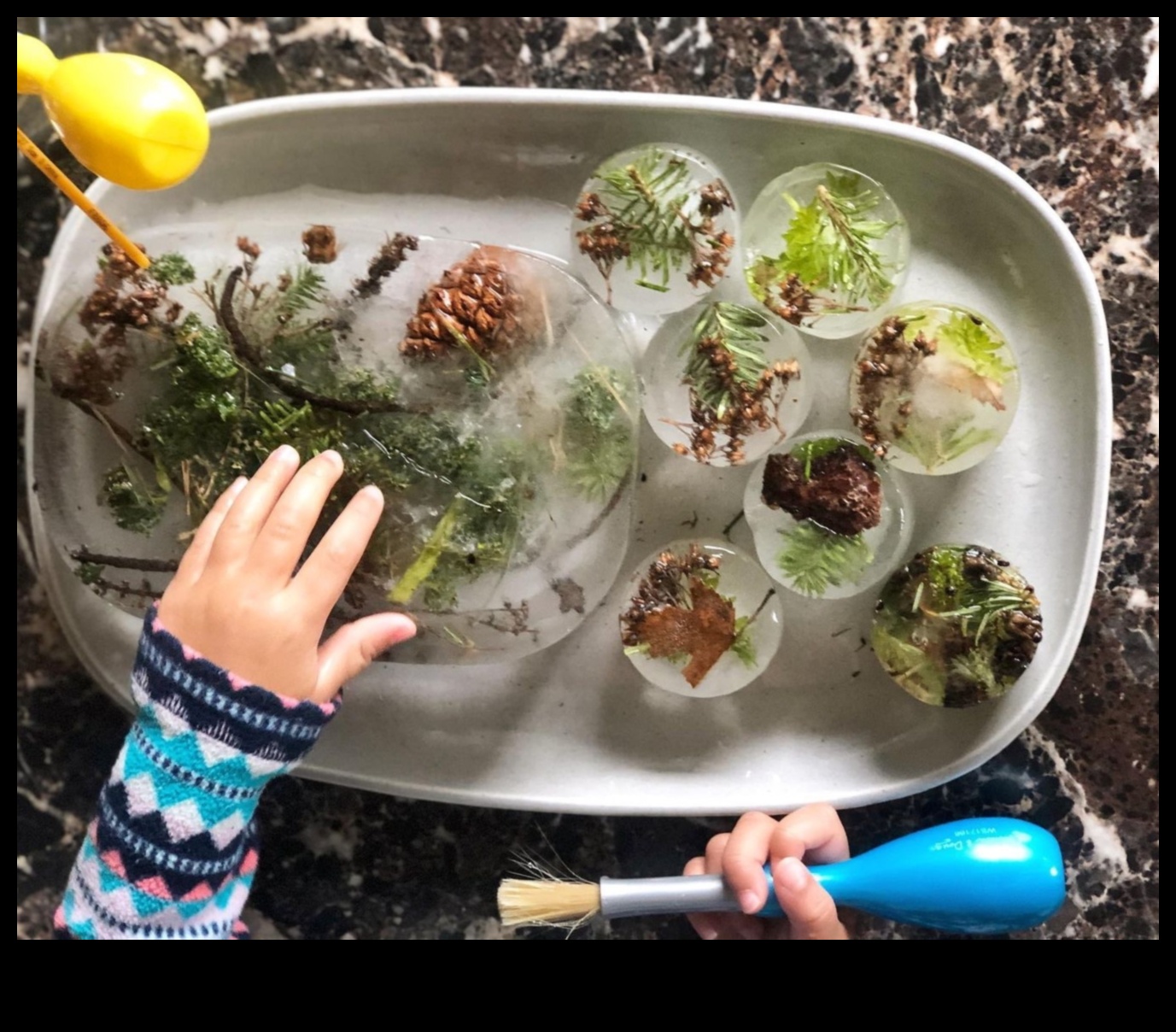 لعب مستوحى من الطبيعة: جلب الهواء الطلق إلى الداخل لحيواناتك الأليفة