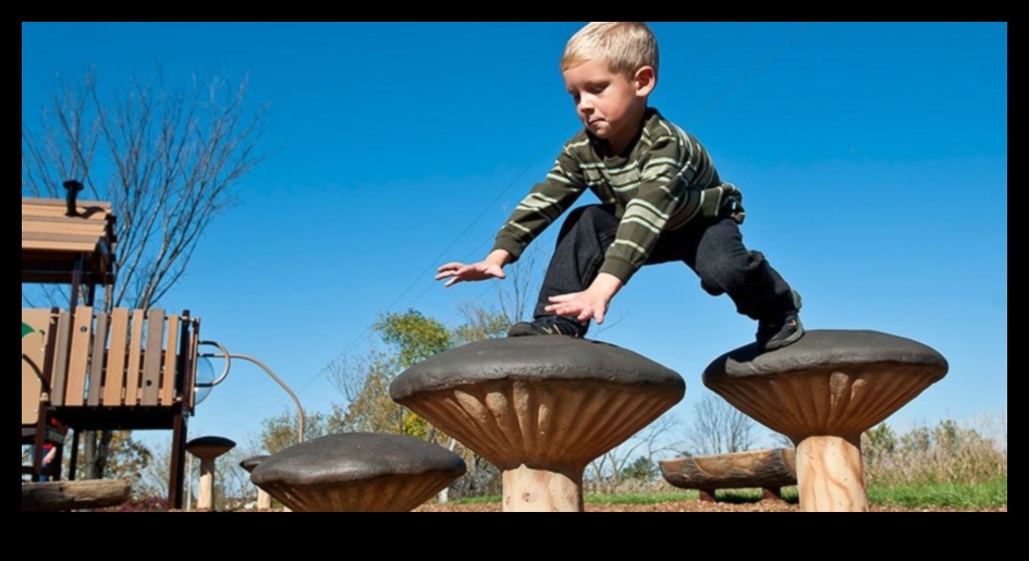 لعب مستوحى من الطبيعة: جلب الهواء الطلق إلى الداخل لحيواناتك الأليفة