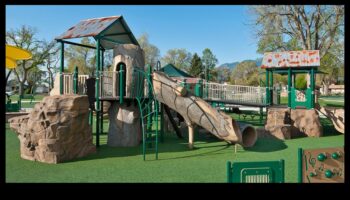 لعب مستوحى من الطبيعة: جلب الهواء الطلق إلى الداخل لحيواناتك الأليفة