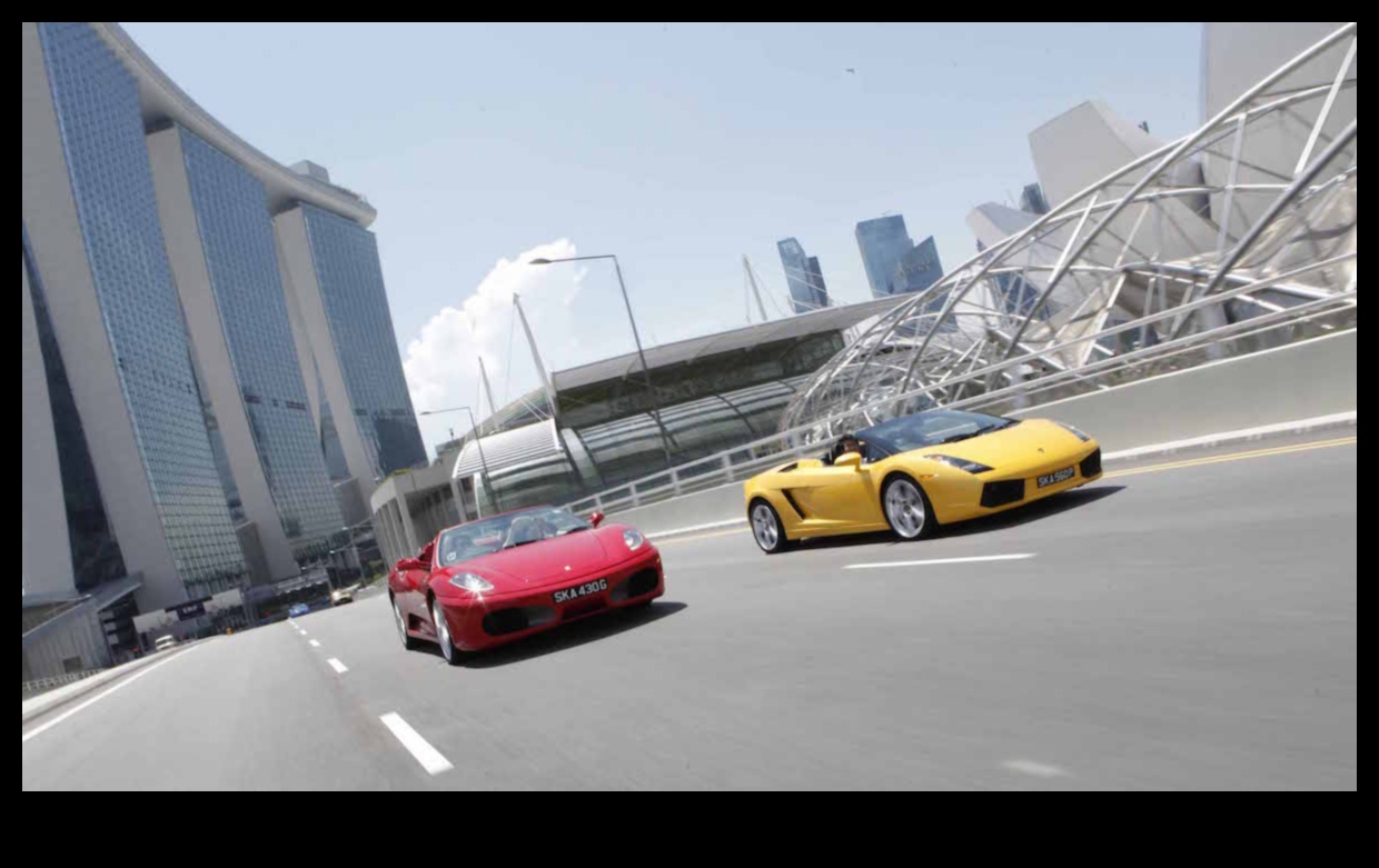 المسار يوم النعيم: السيارات الرياضية والقيادة عالية الأداء