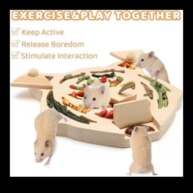 استمرار وقت لعب الهامستر: ألعاب DIY للتحفيز العقلي