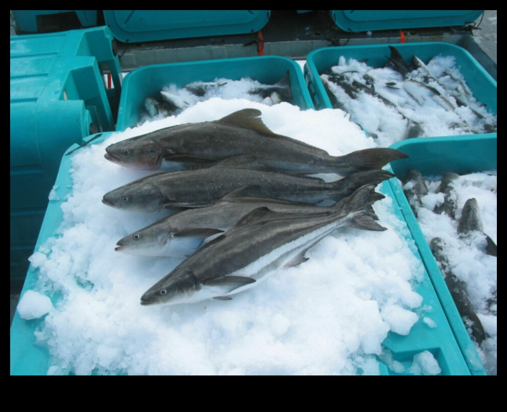 سجلات تربية الأسماك: إحداث ثورة في صناعة المأكولات البحرية